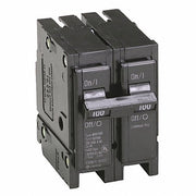 Bryant 100 amp Double Pole Breaker